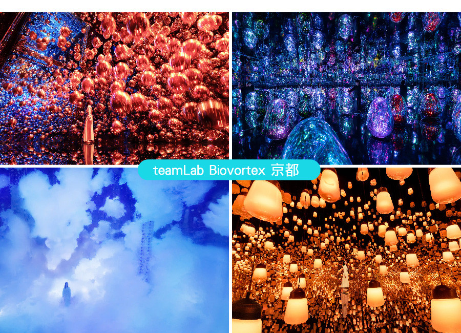 【出清一口價】泰饗趣幸福三都5日.一晚神戶五星.teamlabo京都.戲雪趣.清水寺.嵐山叮叮車.螃蟹和牛龍蝦(泰獅航)