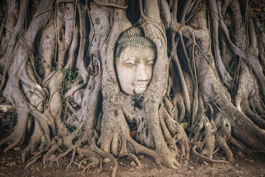 泰國| 曼谷+大城5日~蝦市場現烤大頭蝦.夜遊湄南河.世界級遺跡探索之旅.Health land泰式按摩(6人成行.無購物)
