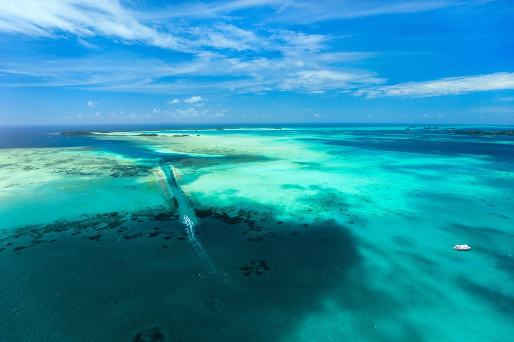 海島正熱♯特選帛琉．帛琉愛萊森林度假村5天(兩次出海)