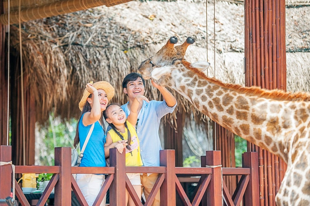 【6人成行】饗樂富國島珍珠野生動物園＋奇幻樂園、富國大世界跨海纜車日落地中海小鎮5日