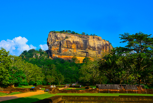 春季揪團省♯斯里蘭卡 雅拉國家公園生態之旅 9天(CX)