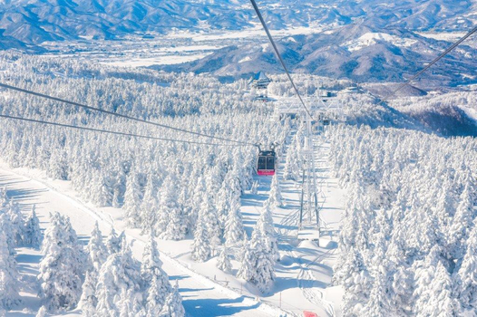 【季節限定】【搭日航．樹冰雪怪雪紛飛東北北海道８日】藏王樹冰、夢幻只見線、大內宿、角館小京都、函館夜景、採莓戲雪趣、新幹線、札幌燈節、螃蟹溫泉[含稅簽]