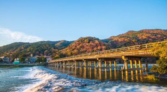 金閣寺+嵐山+三十三間堂+清水寺一日遊(中文)