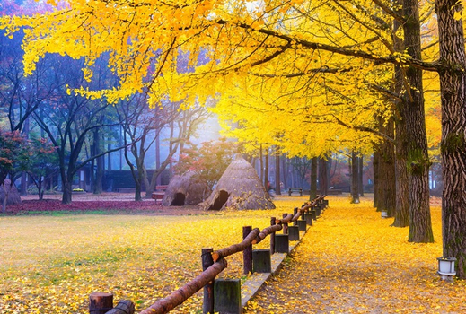 週七狂歡日♯韓國特賣會(松山/金浦)~樂天雙主題、廣藏傳統市場、跑男體驗館、乙晚五星飯店四日