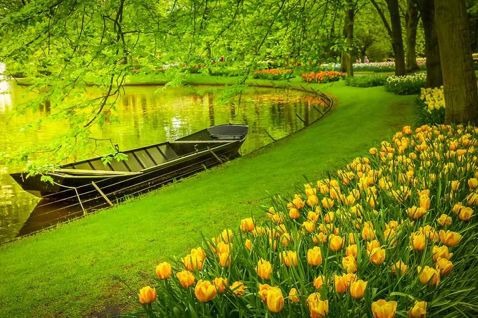 魅力歐洲、法比荷～鬱金香花園、最愛羅浮宮、特色三遊船、運河風車城八日