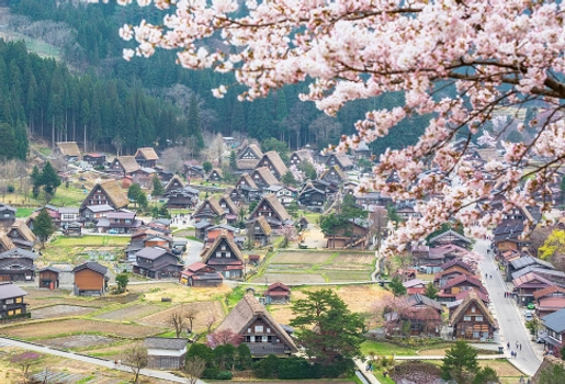 週七狂歡日♯【漫漫櫻花．春遊北陸６日】白川鄉合掌村、國寶彥根城、賞櫻名所、金澤兼六園、名古屋逛街[含稅簽]