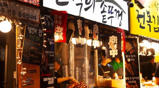 迷宮樂園.泰迪熊野生動物王國.濟州6天