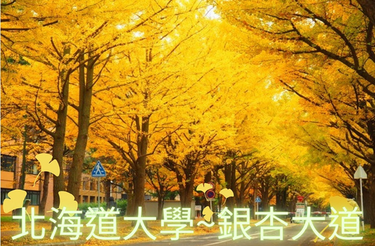 跟團限時省♯長榮楓北海道.秘境紅葉谷.旭岳纜車.豐平峽.漫遊小樽. 定山溪自然光之祭.楓紅五日