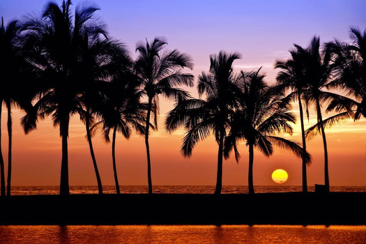 晚鳥限時搶♯【青春派對斯里蘭卡】五星豪華全包式濱海渡假旅館乙晚、野性大草原探險9日