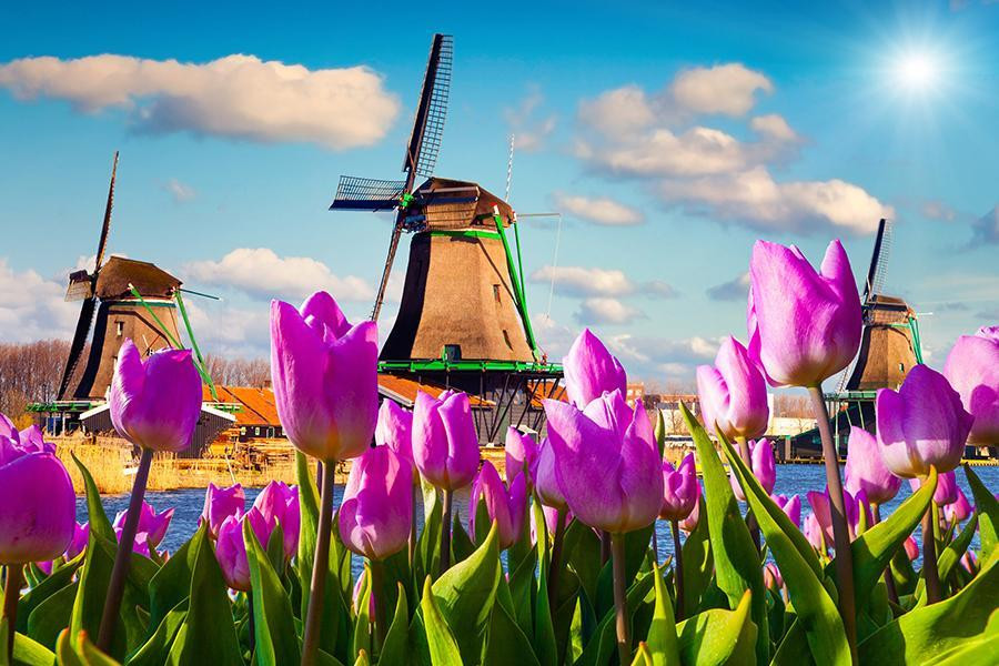 春季揪團省♯【花季超值】法比荷｜庫肯霍夫花園、羊角村三遊船、羅浮宮、折扣村10日