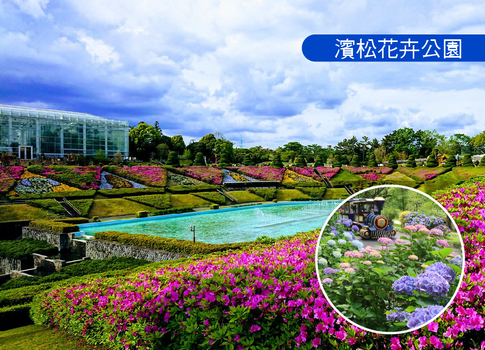 預約粉紅櫻花海♯櫻花浪漫北陸雙溫泉6日.保住名古屋希爾頓.大井川鐵道櫻花隧道.鬱金香花卉.館山寺纜車.茶體驗.富士山.箱根神社.螃蟹美食