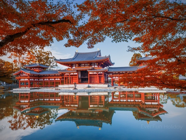 追楓早鳥省♯金秋楓紅關西輕旅行5日(178/177)