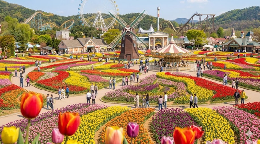 首爾FUN暑假5天、愛寶樂園、拉麵DIY體驗館、升等兩晚市區(一站彩妝)★台中出發