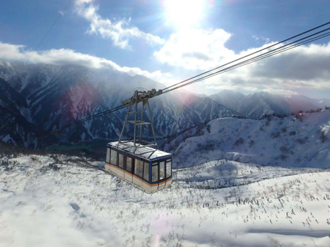 夢幻雪牆預購省♯【紫藤ｘ立山黑部６日】絕景雪牆、神故鄉上高地、合掌村、郡上八幡、螃蟹吃到飽、溫泉[含稅]