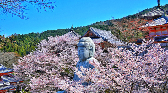【日本】奈良櫻花大佛+吉野山+草莓採摘一日遊