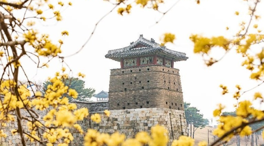 【易遊嚴選】春漾首爾5天~水原華城、萬石湖水公園、塗鴉秀(不走人蔘)★台中出發