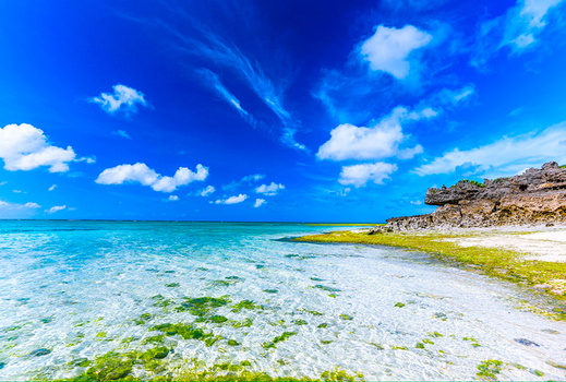 沖繩旅遊｜養生長壽之島．品嚐健康食材．系滿魚市．王國文化．泡盛酒廠．海豚秀．獨家溫泉活動～南城猿之湯四日｜另類新玩法