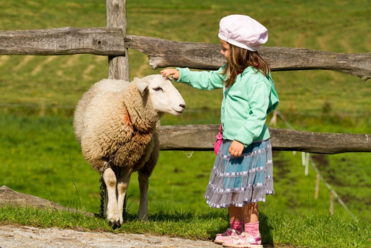 新春開運送紅包♯純享紐西蘭～庫克山國家公園、皇后天際纜車、蒸汽船螢火蟲、塔斯曼冰河船10日