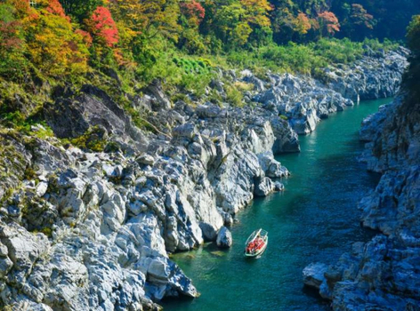 【四國追楓趣】大步危紅葉峽谷遊船．秋之葛藤橋．德島阿波舞．倉敷美觀．金刀比羅宮．栗林公園．燒肉吃到飽．名湯饗宴4天