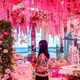 10月快閃價秋遊濟州~山茶花之丘.綠光森林雪綠茶.海女博物館漢拏山5日