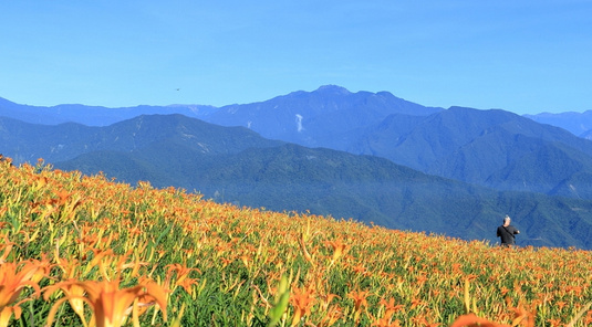 環島.六十石山金黃奇景+理想大地&日暉度假村+a2水岸輕奢3天