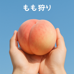 超俗！【盛夏萬博趣桃5日】水蜜桃吃到飽、天保山海遊館、嵐山小火車、奈良小鹿、和牛饗宴[含稅]