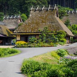 精緻假期~大阪天橋立伊根舟屋.合掌村.嵐山渡月橋.清水寺.有馬溫泉.伊根灣遊船.螃蟹海鮮和牛五日