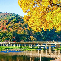 台中神戶大阪三都精選之旅+國產牛吃到飽五日~嵐山渡月橋+清水寺+伏見稻荷大社+奈良鹿公園(星宇)