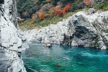 易遊嚴選~星宇浪漫小豆島5天．寒霞溪纜車．大步危遊船．橄欖公園．道後溫泉．金刀比羅宮．烏龍麵DIY． 阿波舞蹈(神戶進出)