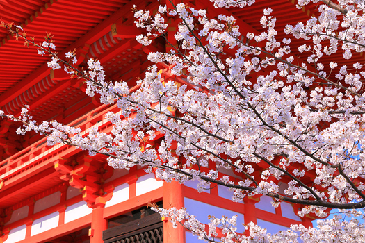 大阪櫻花聖地巡禮有馬溫泉.近江八幡遊船.清水寺.平等院+螃蟹國產牛吃到飽五日(星宇航空)