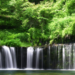 【山城小鎮】文青富岡、倉庫群、白絲瀑布、川越古街、燒肉、溫泉、東京輕旅4日