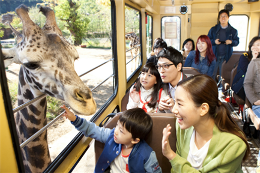 【易起FUN暑假．童趣首爾5日】不進蔘肝、韓服遊古宮、世界級愛寶樂園、最美星空圖書館、世遺水原華城、廣藏市場尋美味、精彩新塗鴉秀、明洞逛街
