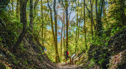司馬庫斯一日遊