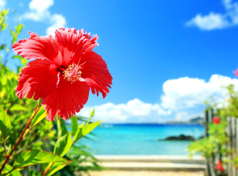【沖繩太好玩】海洋博．美麗海水族館．玉泉洞．王國大鼓秀．瀨長島．北谷町美國村．燒肉吃到飽 4天