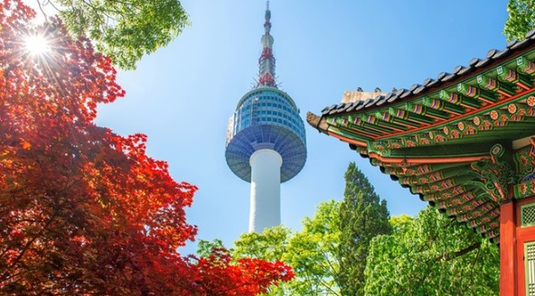 完美100選~愛寶樂園.新塗鴉秀5天