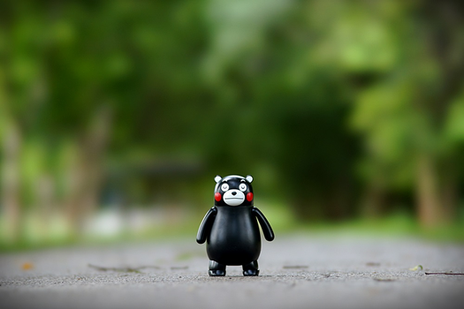 星宇航空~ 熊本自由行 5 天（贈第1晚飯店+早餐．6人成行)