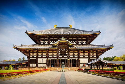 （早鳥報名．免領隊小費）【★特惠限定．超值大阪半自助五日★】奈良鹿公園．世界文化遺產〃春日大社散策．日本千年匠魂〃百年精湛～御和作鍋具博物館★3天自由活動～高彈性行程★