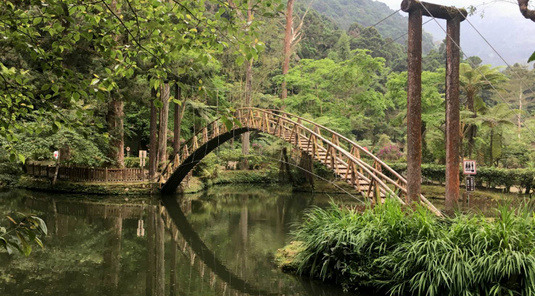 溪頭+杉林溪．日月潭沉浸之旅3天