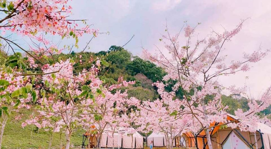 【高雄】遠山望月溫泉風呂露營區