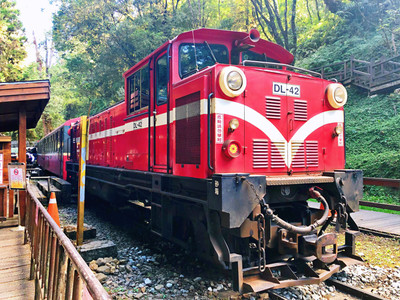 高鐵旅行 阿里山森鐵小火車 懷舊奮起湖2天 南部出發 Eztravel易遊網