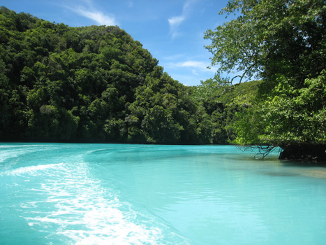 《帛琉愛尼》玩帛琉環礁四天三夜(兩次出海)