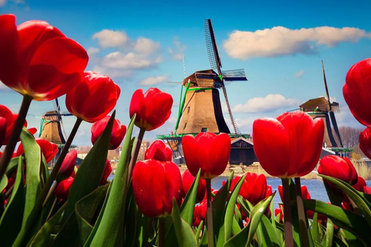 鬱約花季早鳥省♯【聰明玩家】法比荷｜庫肯霍夫花園、艾菲爾鐵塔饗宴、巴黎市區三晚10日