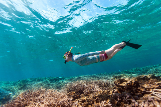 易起FUN寒假♯帛琉好好玩4日 帛琉大酒店3晚及兩天出海(水母湖、大斷層、牛奶湖)