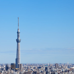精選東京5日-箱根海盜船、晴空塔、迪士尼樂園