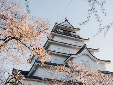 預約粉紅櫻花海♯星宇航空【東北櫻花百選名所~藏王纜車溫泉美食5日】浪漫會津鐵道 三春瀧櫻 白石川堤 花見山公園 鶴城 賞櫻團