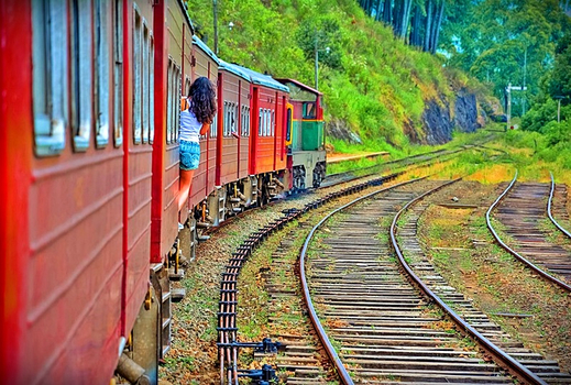 春季揪團省♯清境斯里蘭卡~獅子岩丹布拉、雅拉國家公園、世界文化遺產、六晚五星酒店九日