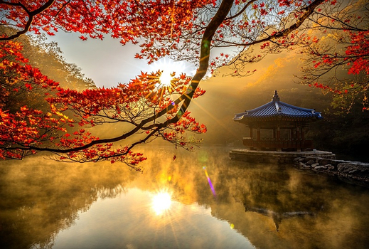 《無購物》《無購物》慢遊韓國5日~首爾2晚、江華滑車、濟扶纜車、鐵道自行車【華航】