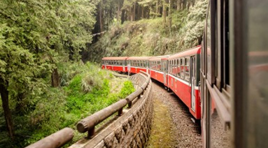 阿里山林鐵小火車‧神木群棧道+奮起湖3天