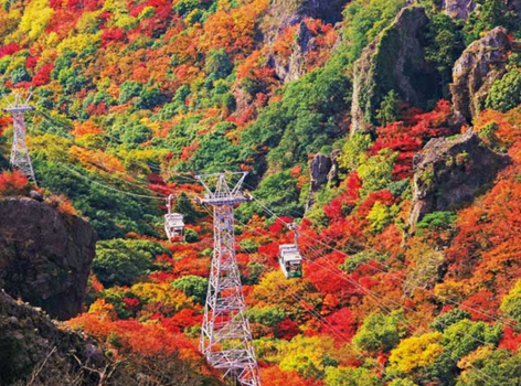 【楓情小豆島】寒霞溪紅葉纜車．大步危峽谷遊船．秘境葛藤橋．金刀比羅宮．烏龍麵體驗．燒肉吃到飽．高知城．溫泉饗宴4天