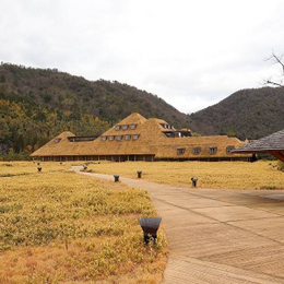 【夯漫三都】大阪.宇治遊覽船平等院.京都下鴨神社.近江八幡.東大寺5日